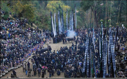 原始祭祀苗族牯藏节